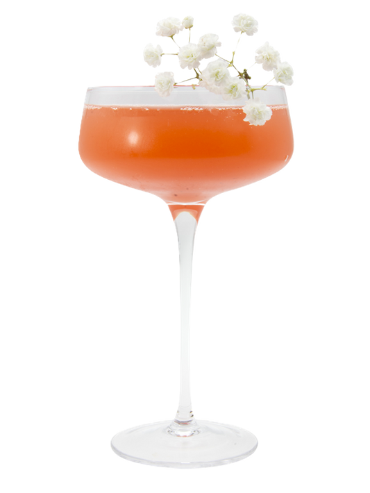 Elderberry Fizz