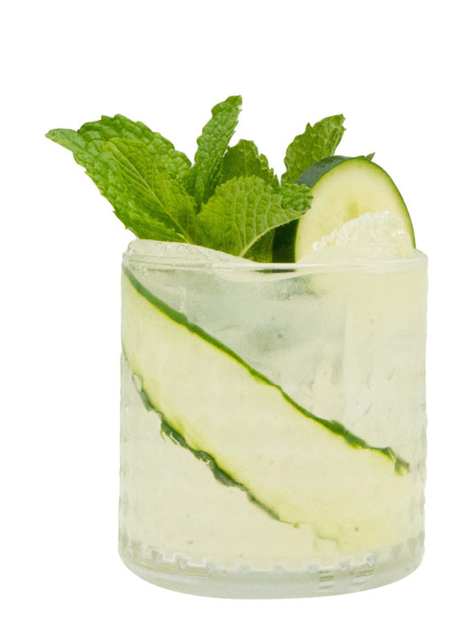 Gimlet Jardín Vacacional